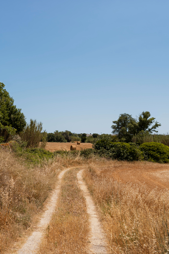 Ecological assessment image.